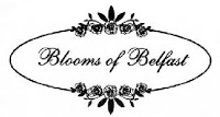 Blooms of Belfast 283610 Image 8